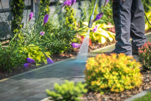 Best Spring Cleaning  in Newport, RI